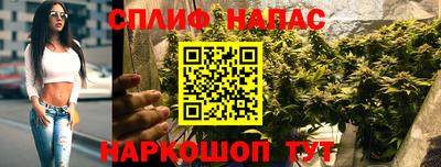 PSILOCYBIN Будённовск
