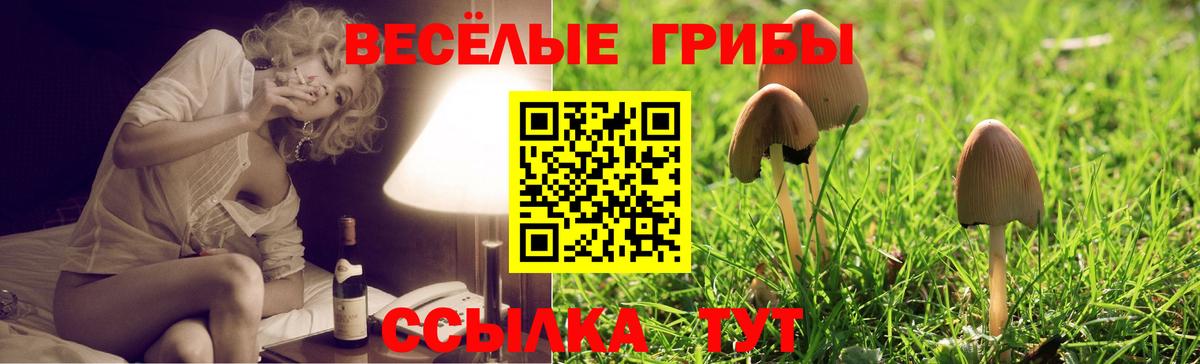 Арзамас  Псилоцибиновые грибы ЛСД  Вход с VPN 